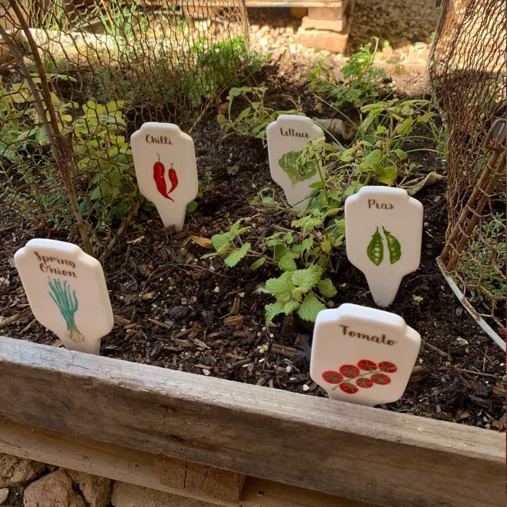 Items for the garden at the provincial rabbit in moonta